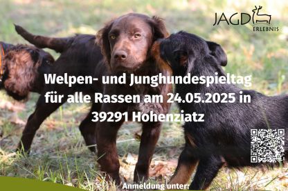 Welpen- und Junghundespieltag am 24.05.2024
